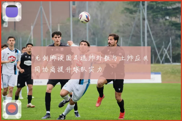 毛剑卿谈国足选帅外教与土帅应共同协商提升球队实力