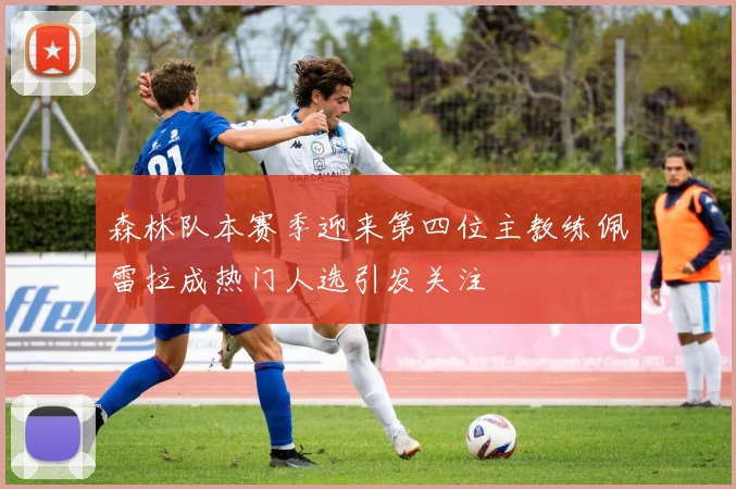 森林队本赛季迎来第四位主教练佩雷拉成热门人选引发关注