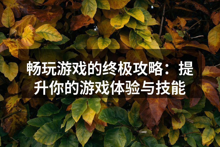 畅玩游戏的终极攻略：提升你的游戏体验与技能