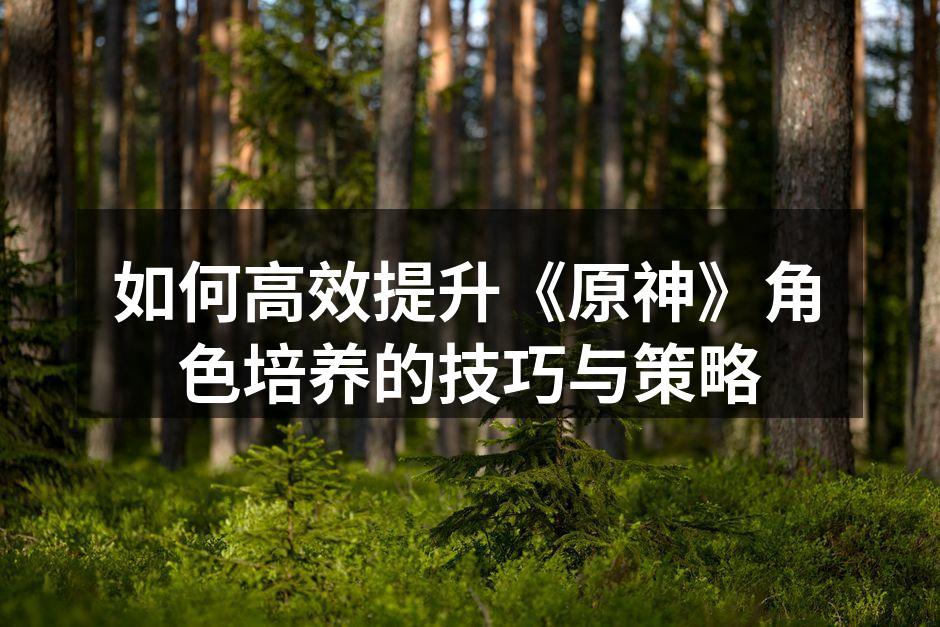 如何高效提升《原神》角色培养的技巧与策略